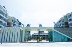 A new section of I. II. III